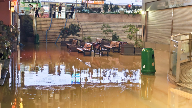 酒店对开的普庆广场花园顿成泽国。